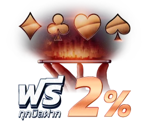 Pro 3